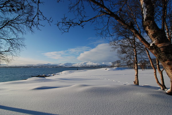 The beach, Tromso