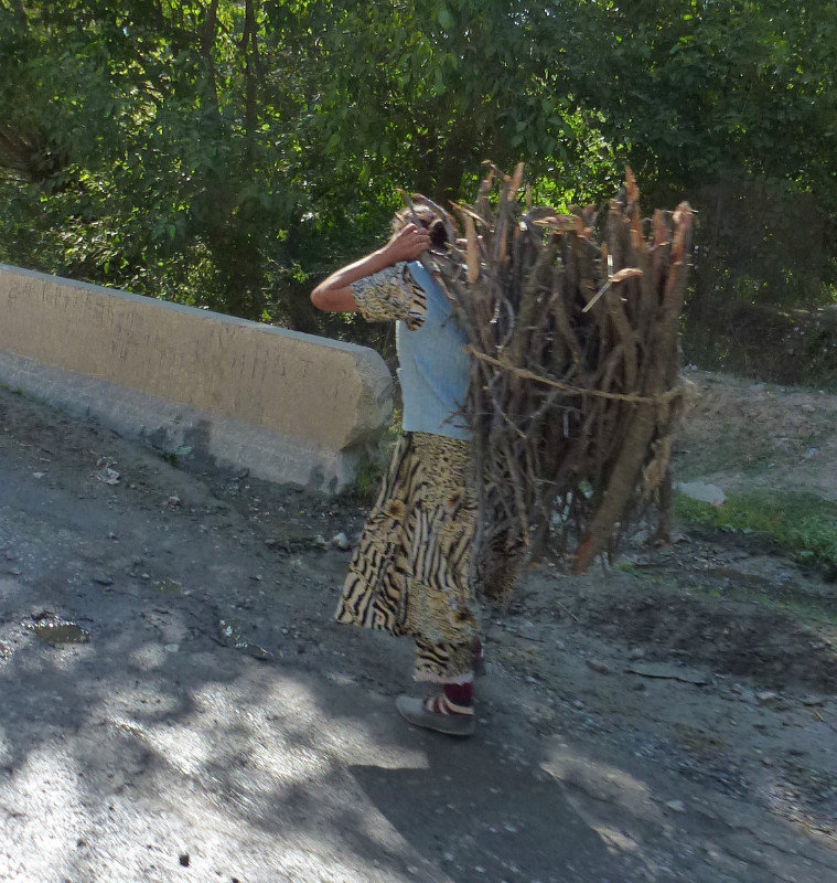 locals carrying their wood supplies home