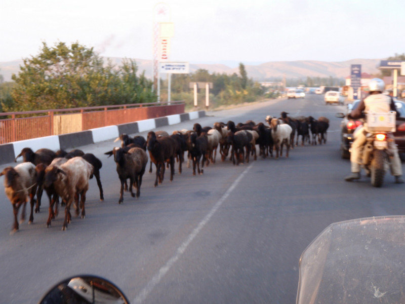 a traffic jam Kyrgyz style