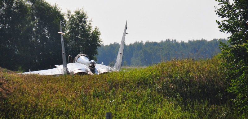 don't look now but there's a MIg 31 hiding behind the hedge