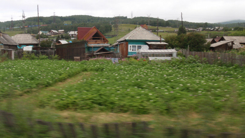 most have potato fields for gardens
