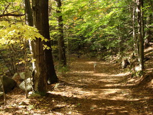Hiking trails behind the house