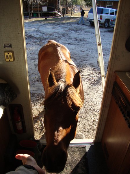 Kohl stuck his head in the trailer one morning to say hello