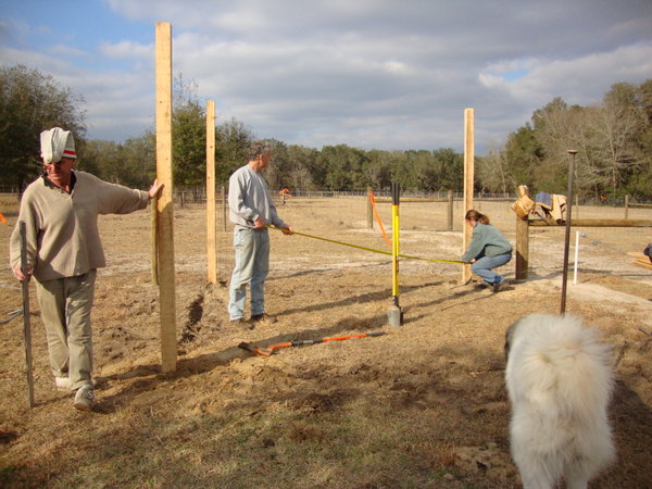 The four of us working on building a new goat shelter in one of the pastures