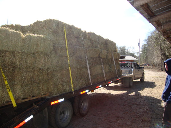 The trailer with the hay, hey!