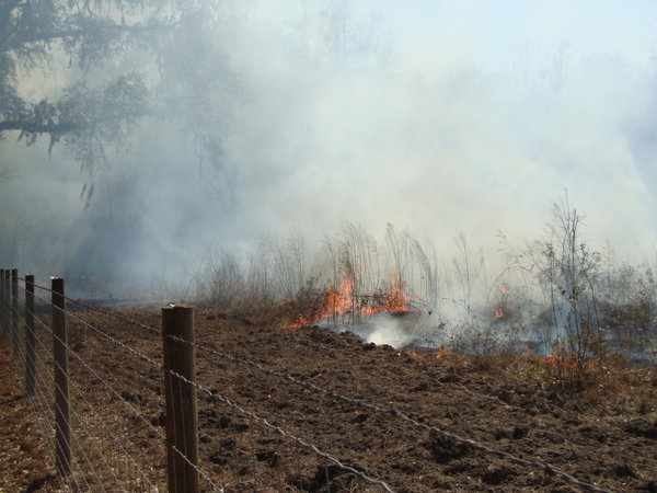 The neighbors' field during a controlled burn