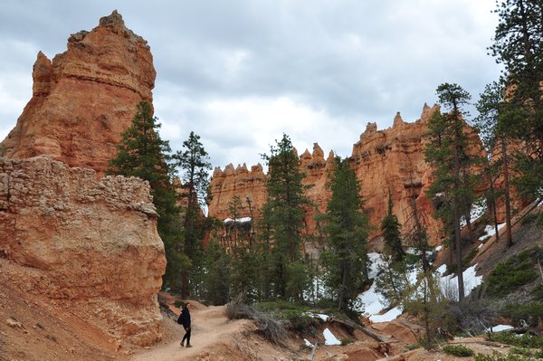 Bryce Canyon nedefra