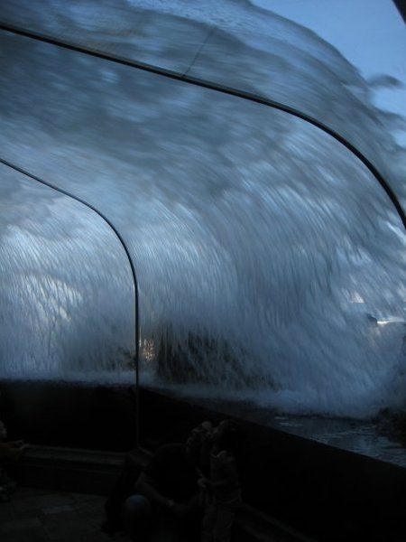 Monterey Aquarium