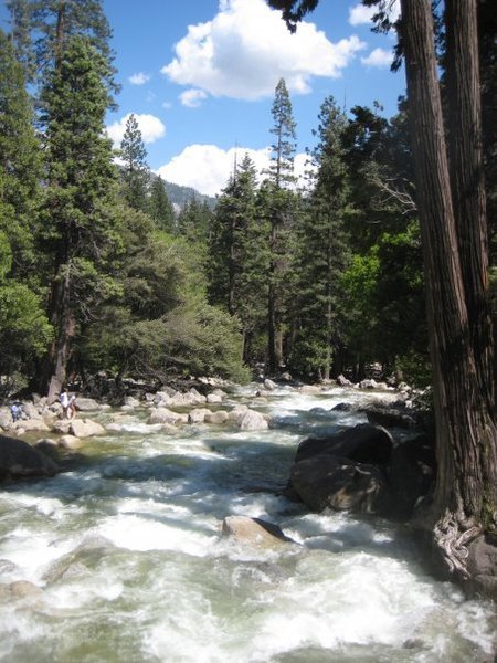Downstream of Yosemite Falls