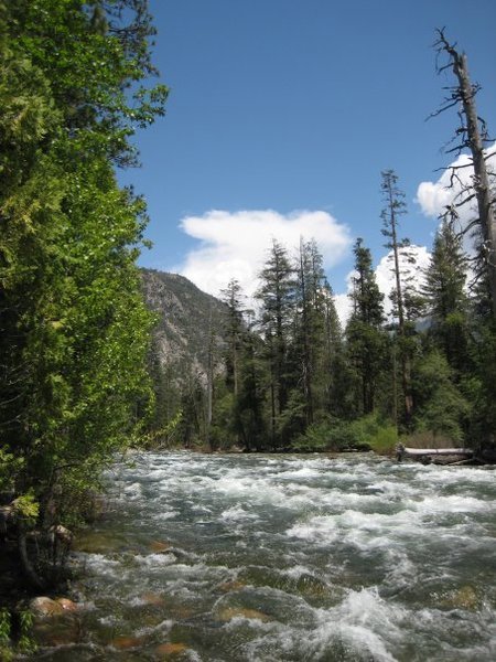 Roaring River and Kings Canyon