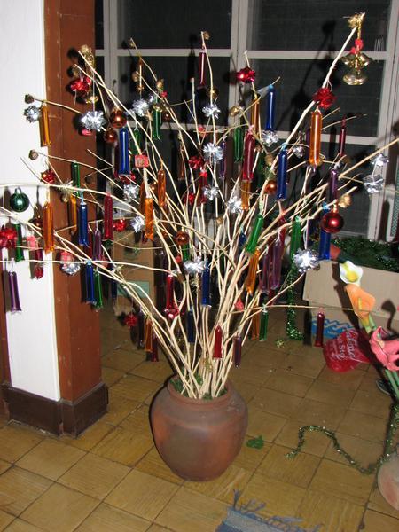 Phillipine Christmas Tree