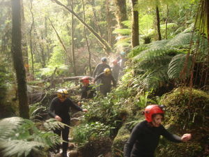 Walking to the Cave 