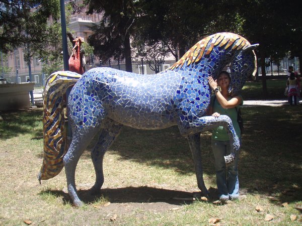 A horsey park in Quito