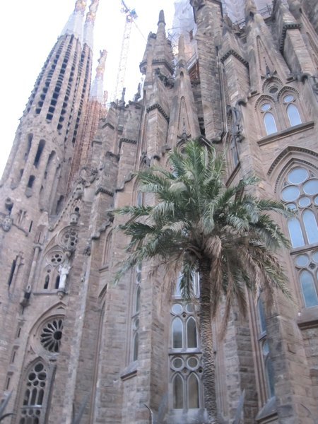 Gaudi's masterpiece, La Sagrada Famila!