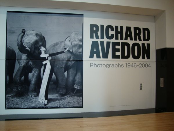 Richard Avedon Exhibit, SF Moma