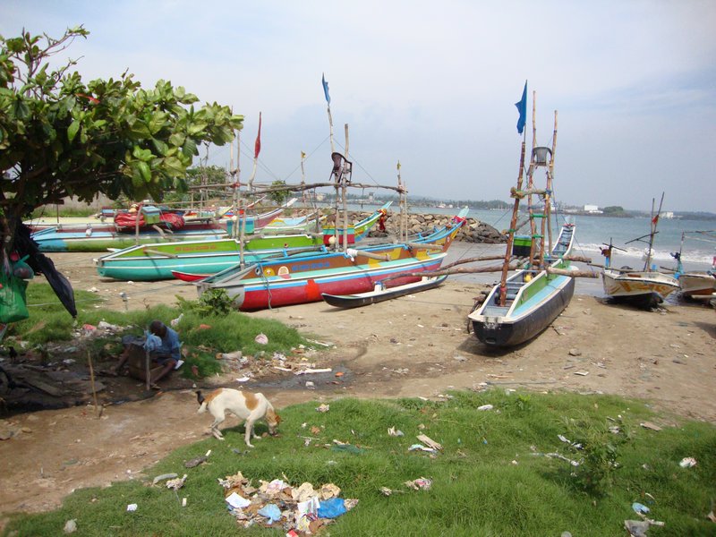 Galle, fishing boats