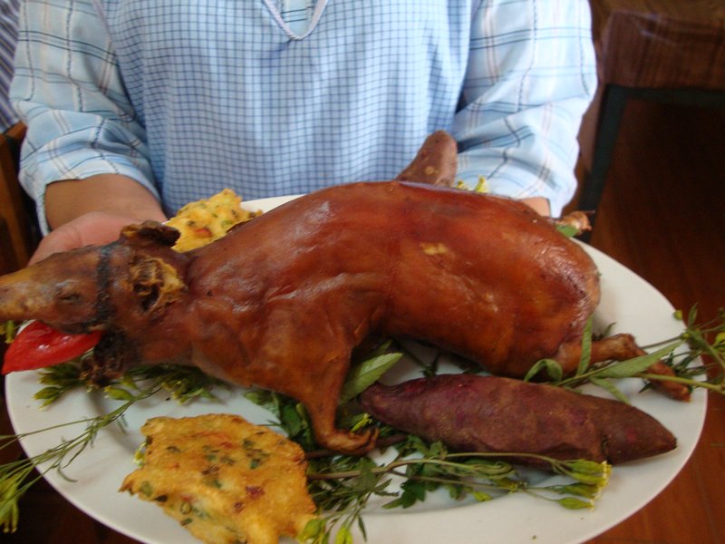 roasted guinea pig for lunch