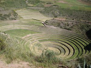 Inca terraces