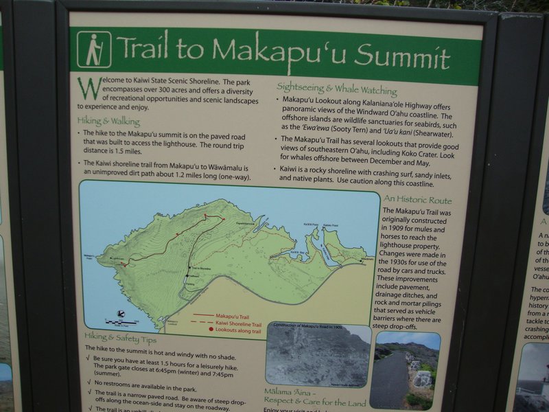 hike to Makapu'u Summit