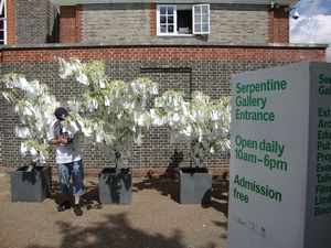 wish tree at the Serpentine Gallery
