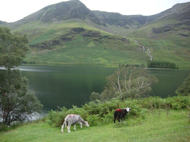 14- Lake Buttermere (afternoon)