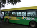 91 bus