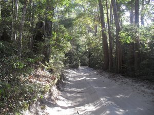Fraser Island 325