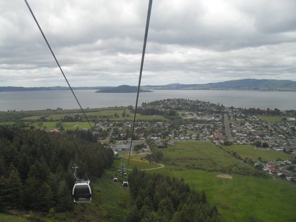 Rotorua 050