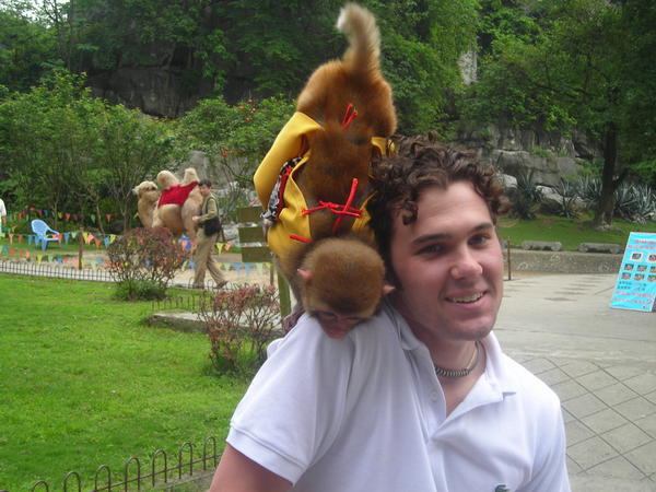Matt et un petit singe