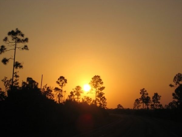 Coucher de soleil sur les Everglades