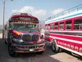 Bus Antigua