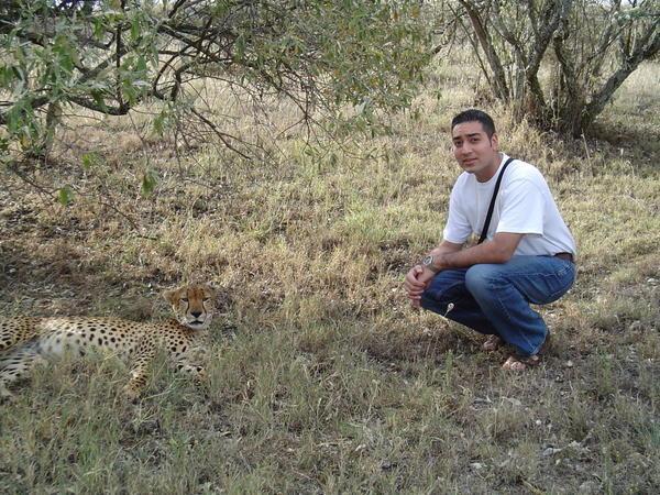Cheetah :)