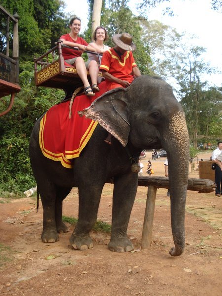 Riding the Elephants 