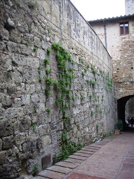 the walled walkway