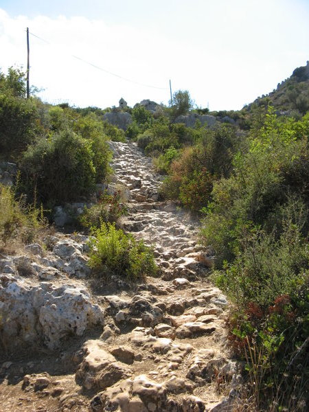Path to Simena