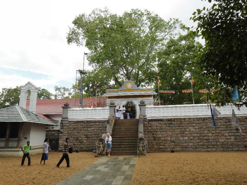 Sri Mada Bohdi Tree enclosure