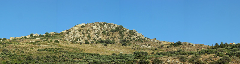 Polyrennia acropolis from road  1.4