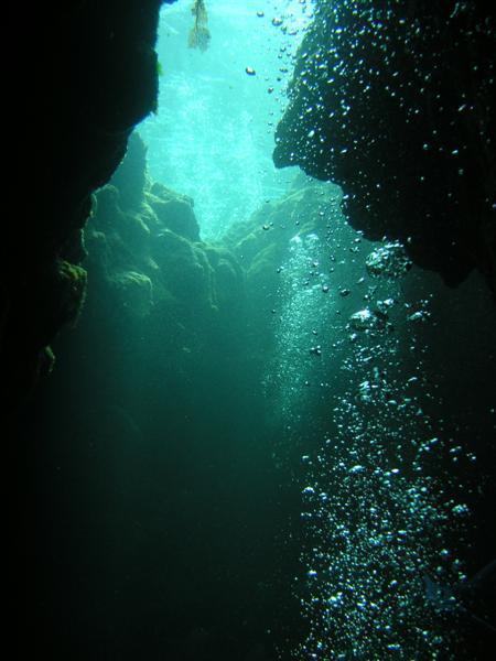 Diving Through Canyons