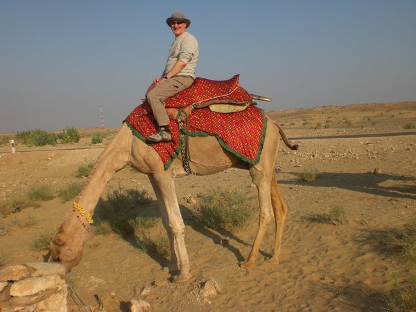 Terry on a munching camel
