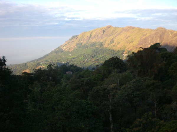 View from our hotel in Munnar