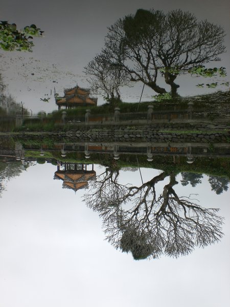 Reflections of Forbidden Palace