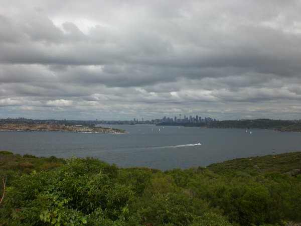 Sydney Harbour from the North Shore