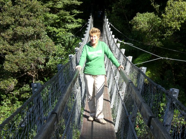 Swing bridge at Kaitoke
