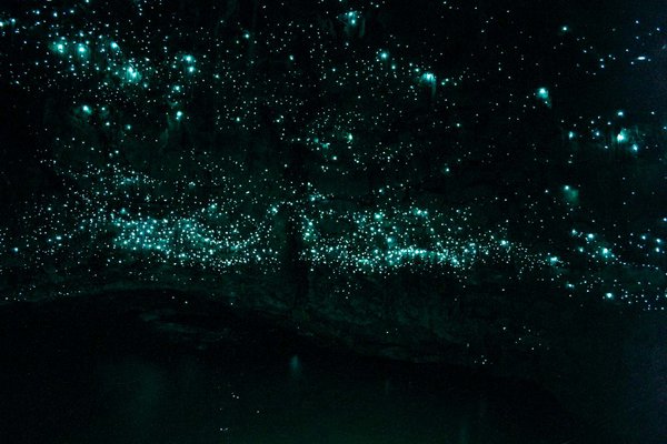 Glow worms light up the cave