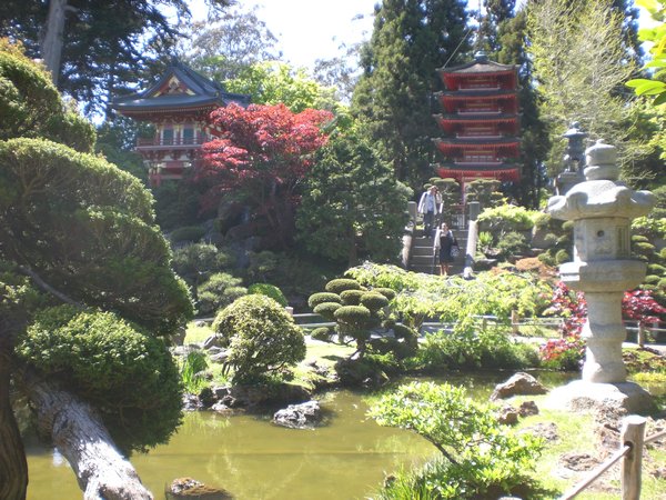 Japanese Garden in Golden Gate park