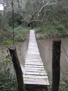 I crossed the suspension bridge that crosses the river on our hike (sendero)