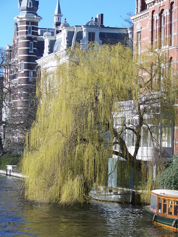 Amsterdam 3-19-2011 3
