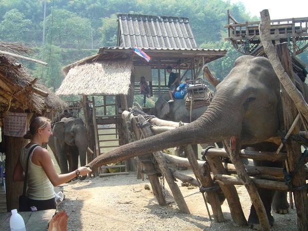 Amy and our Elephant