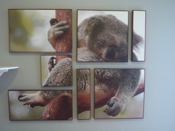 Cute picture on the hostel wall, Port Elliot