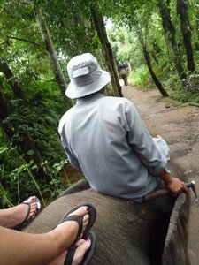 On Yanti the elephant, Taro
